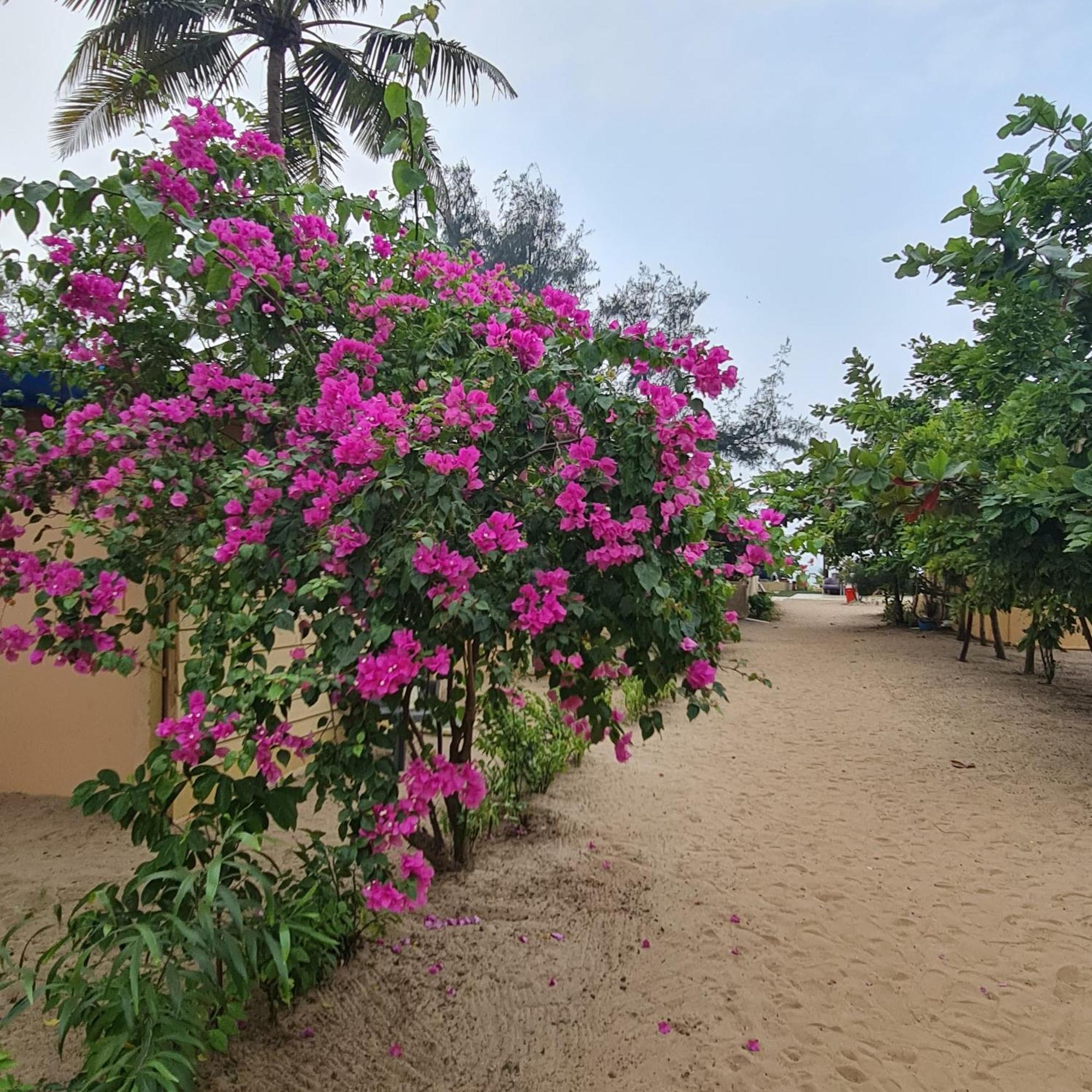 Love Temple Beach Resort Arambol Luaran gambar